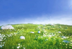 青青草原免费在线视频,畅享草原风情，尽享视觉盛宴